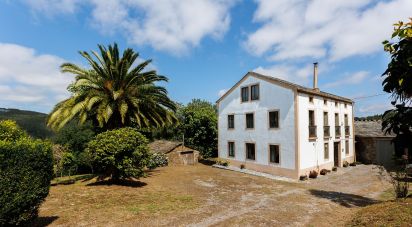 Casa 5 habitacions de 502 m² a Riotorto (27744)