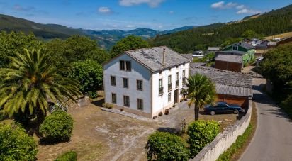 Casa 5 habitacions de 502 m² a Riotorto (27744)