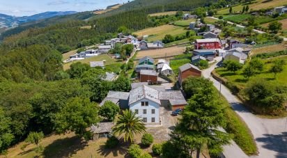 Casa 5 habitacions de 502 m² a Riotorto (27744)