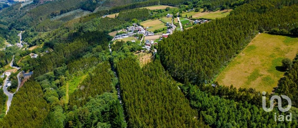 House 5 bedrooms of 502 m² in Riotorto (27744)