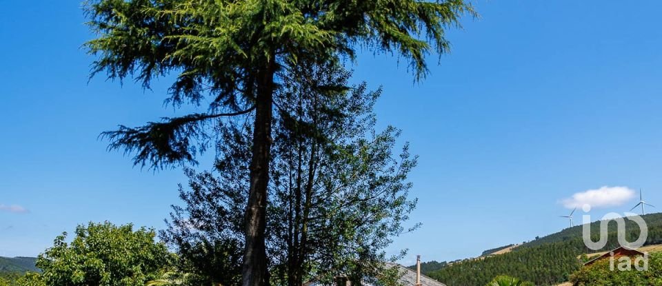 House 5 bedrooms of 502 m² in Riotorto (27744)