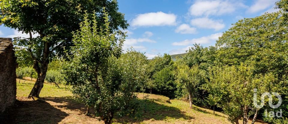 House 5 bedrooms of 502 m² in Riotorto (27744)