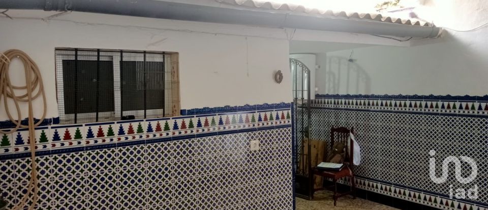 Maison 4 chambres de 166 m² à Écija (41400)