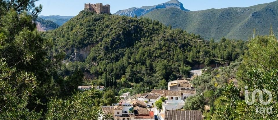 Boutique/Local commercial de 458 m² à Pego (03780)