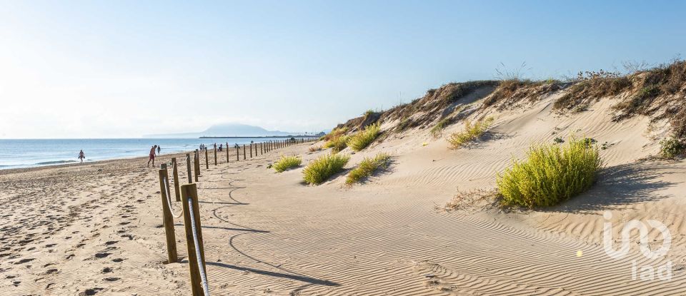 Boutique/Local commercial de 458 m² à Pego (03780)