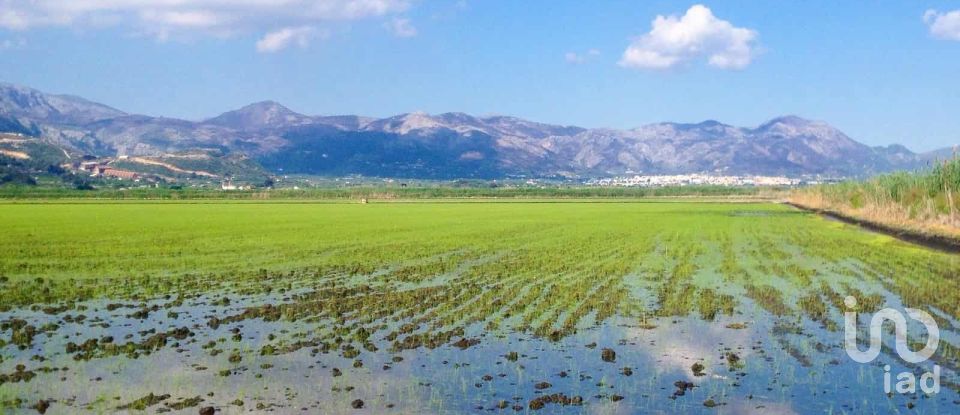 Boutique/Local commercial de 458 m² à Pego (03780)