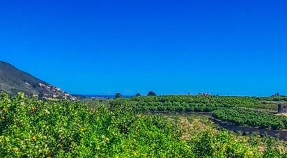 Land of 6,372 m² in Adsubia (03786)