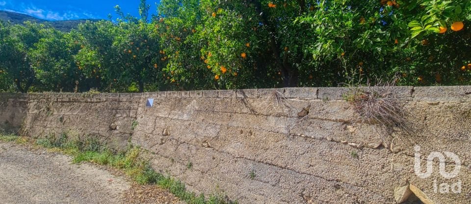 Land of 6,372 m² in Adsubia (03786)