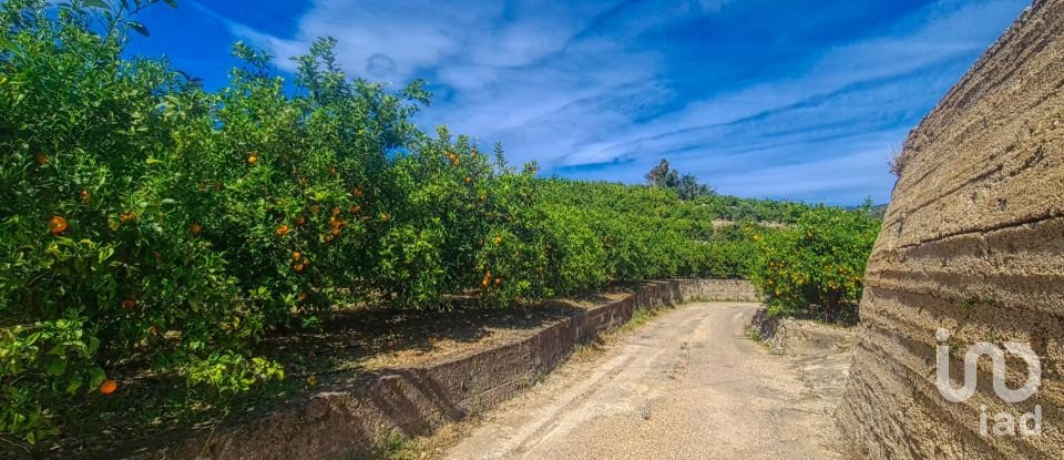 Land of 6,372 m² in Adsubia (03786)