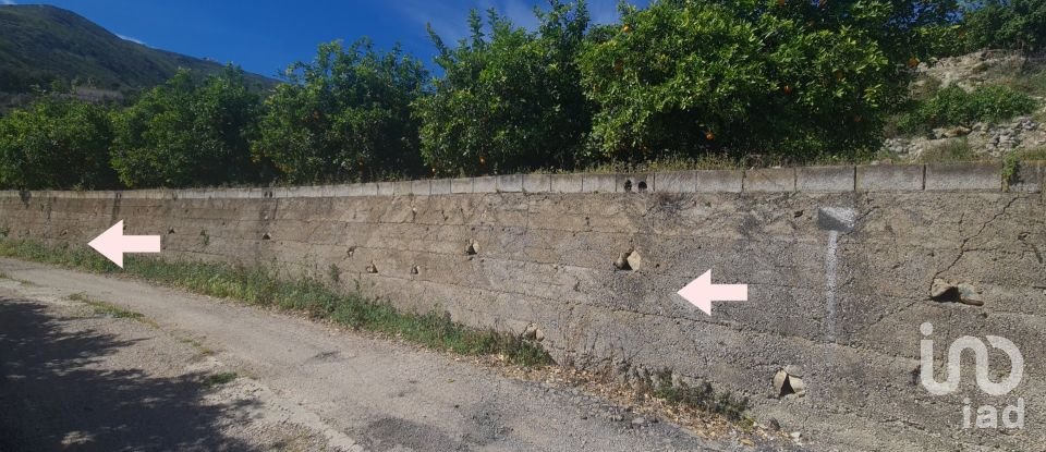 Land of 6,372 m² in Adsubia (03786)