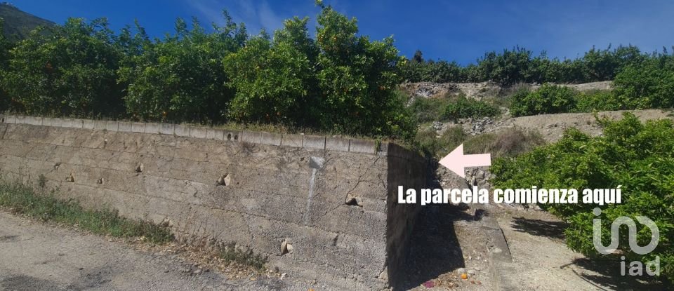 Land of 6,372 m² in Adsubia (03786)