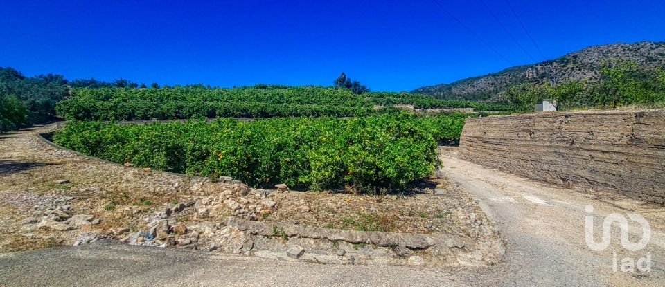 Land of 6,372 m² in Adsubia (03786)