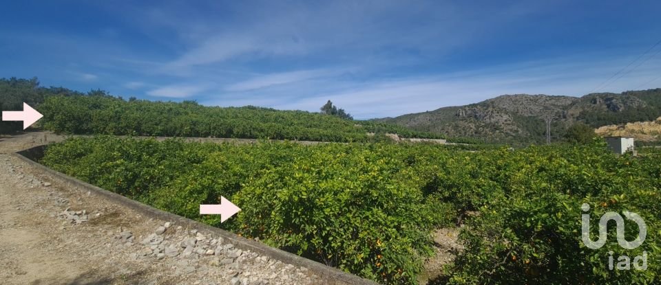 Land of 6,372 m² in Adsubia (03786)