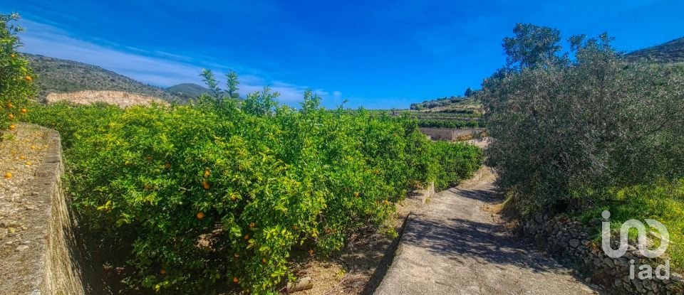 Land of 6,372 m² in Adsubia (03786)