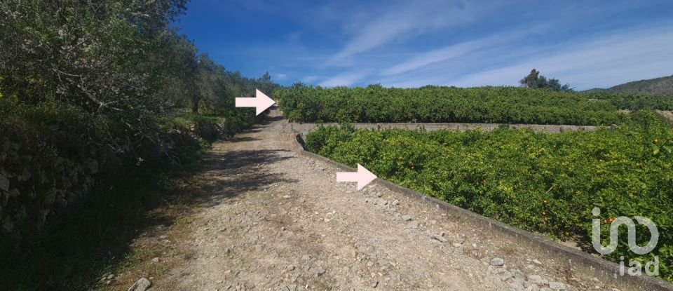 Land of 6,372 m² in Adsubia (03786)