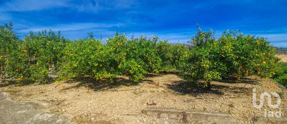 Land of 6,372 m² in Adsubia (03786)