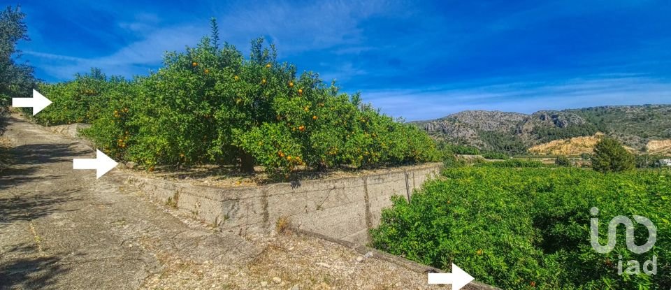 Land of 6,372 m² in Adsubia (03786)