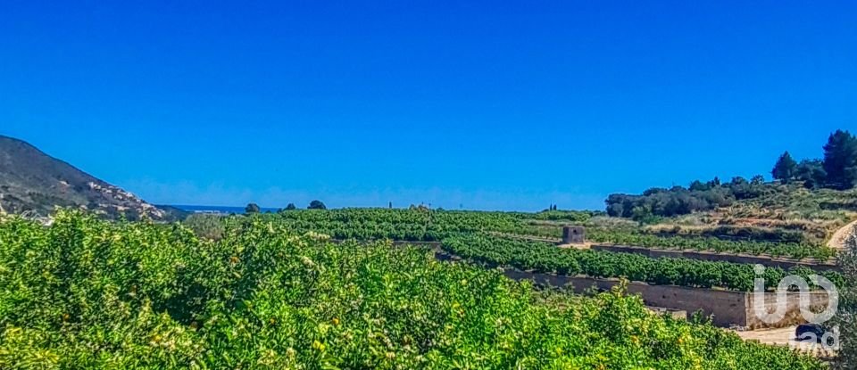 Land of 6,372 m² in Adsubia (03786)