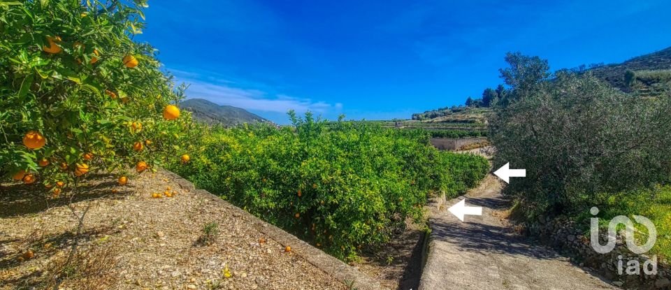 Land of 6,372 m² in Adsubia (03786)