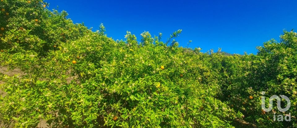 Land of 6,372 m² in Adsubia (03786)