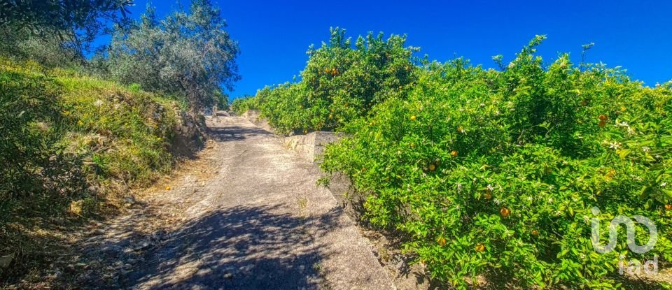 Land of 6,372 m² in Adsubia (03786)