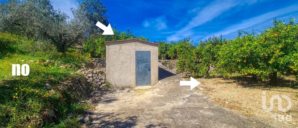 Land of 6,372 m² in Adsubia (03786)