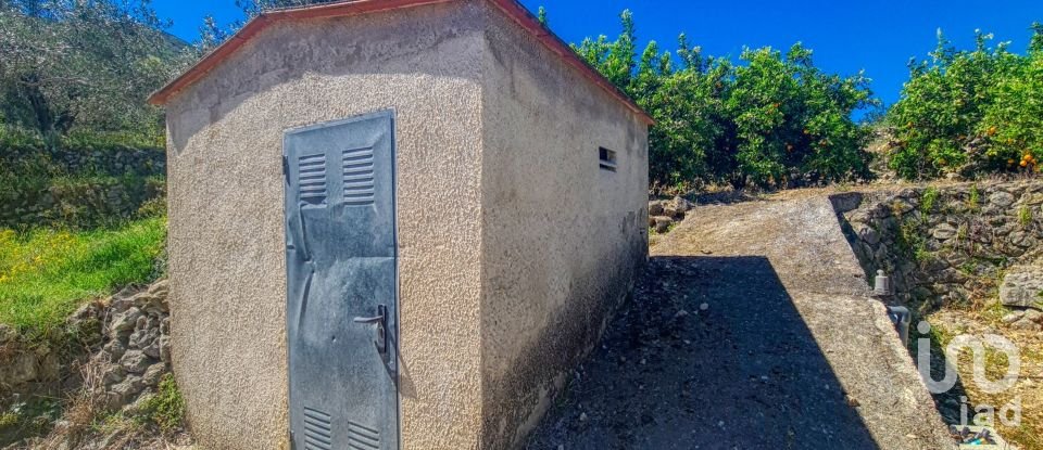 Land of 6,372 m² in Adsubia (03786)