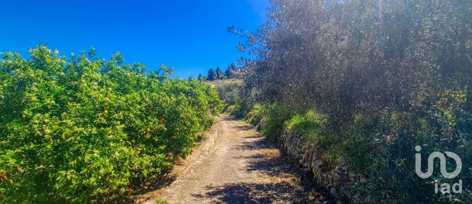 Land of 6,372 m² in Adsubia (03786)