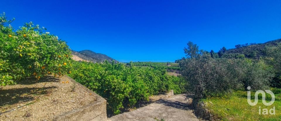 Land of 6,372 m² in Adsubia (03786)