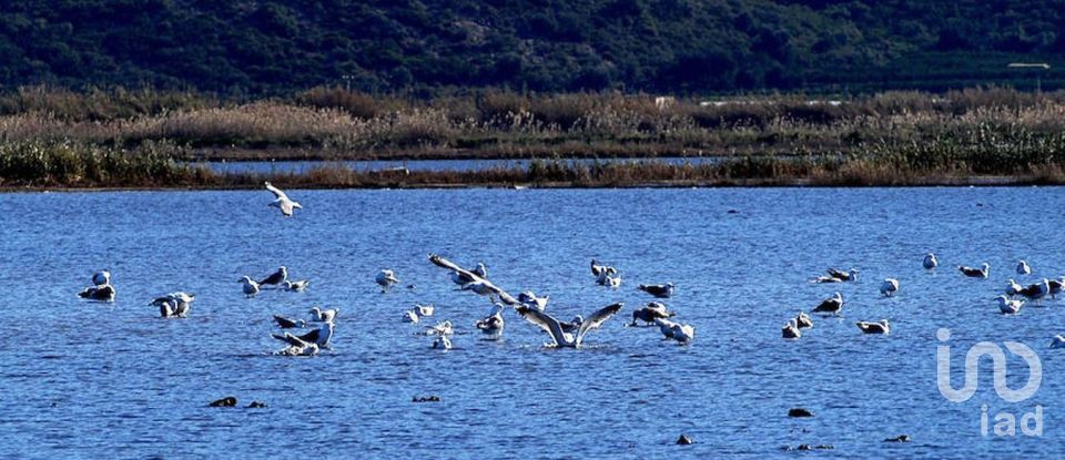 Retail property of 270 m² in Pego (03780)