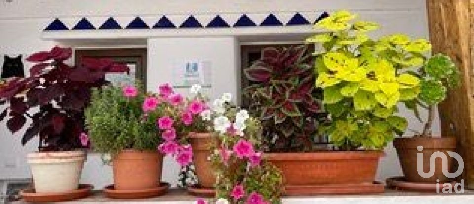 Village house 3 bedrooms of 127 m² in Canillas de Aceituno (29716)