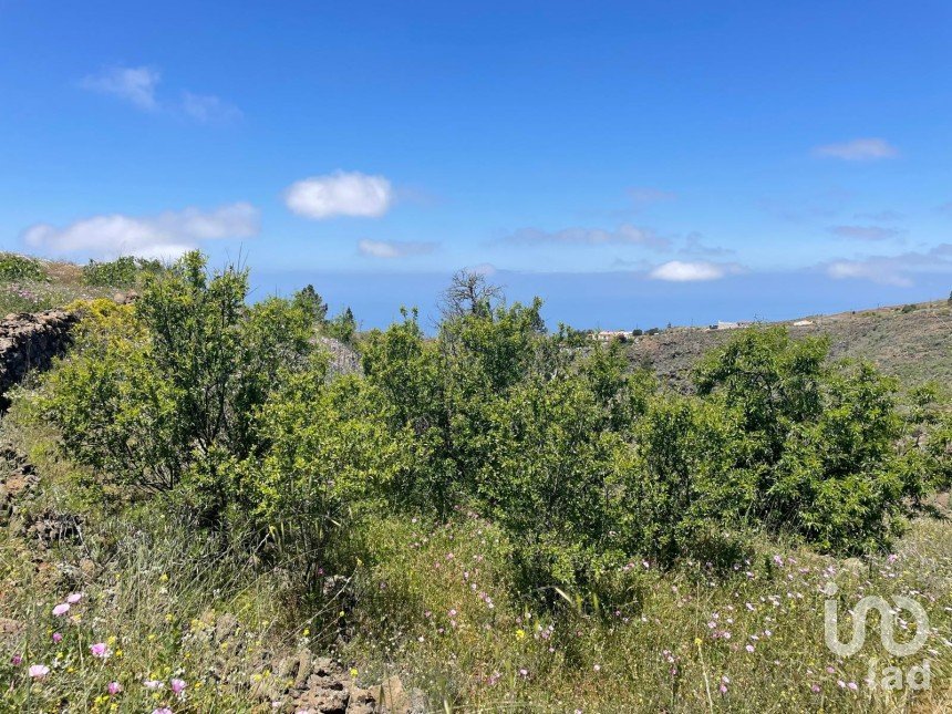 Terreno de 11.000 m² en Taucho (38677)