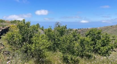 Terreny de 11.000 m² a Taucho (38677)