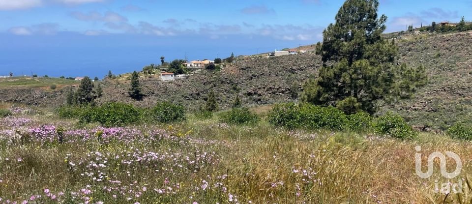 Terreno de 11.000 m² en Taucho (38677)