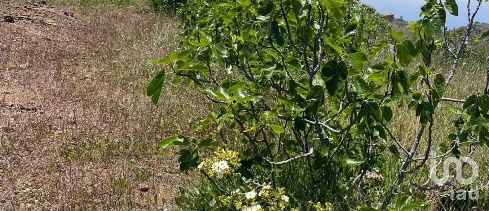 Terreno de 11.000 m² en Taucho (38677)