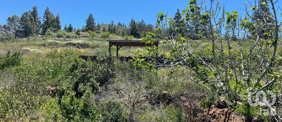 Terreno de 11.000 m² en Taucho (38677)