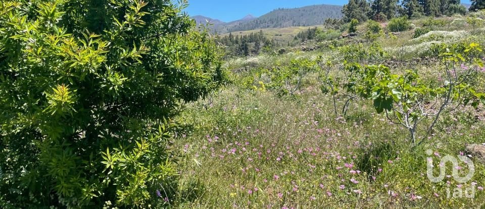 Terreno de 11.000 m² en Taucho (38677)