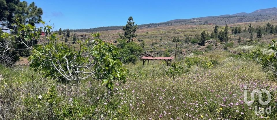 Terreno de 11.000 m² en Taucho (38677)