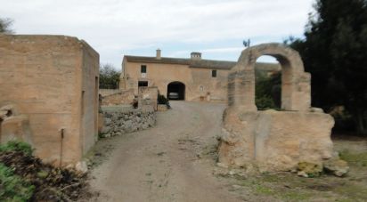 Casa señorial 8 habitaciones de 736 m² en Ariany (07529)