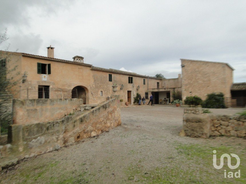 Demeure 8 chambres de 736 m² à Ariany (07529)