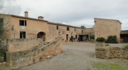 Demeure 8 chambres de 736 m² à Ariany (07529)