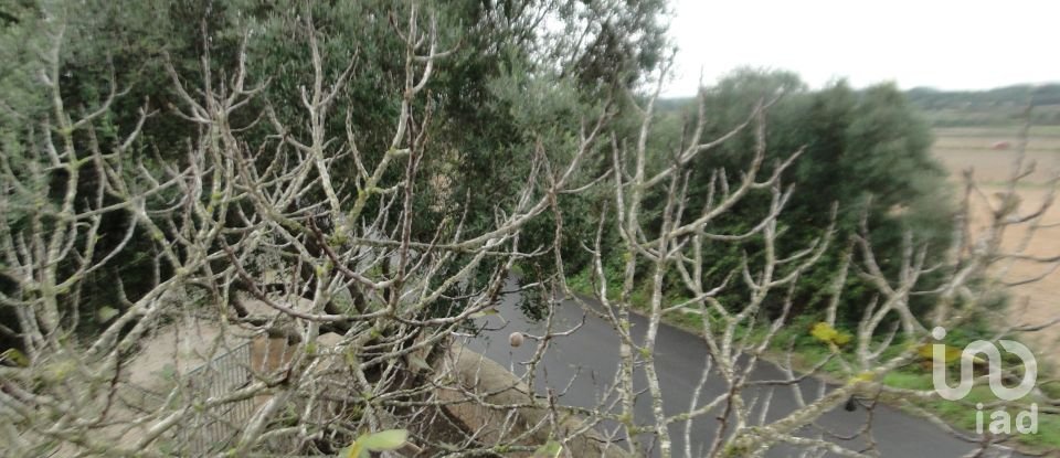 Demeure 8 chambres de 736 m² à Ariany (07529)