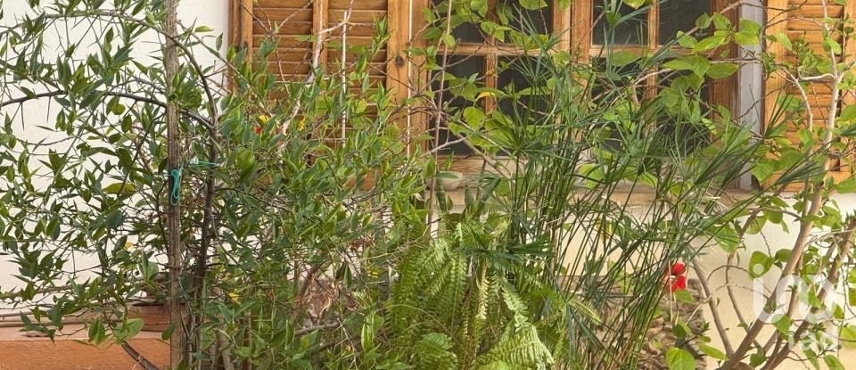 Pis 5 habitacions de 200 m² a Palma de Mallorca (07003)