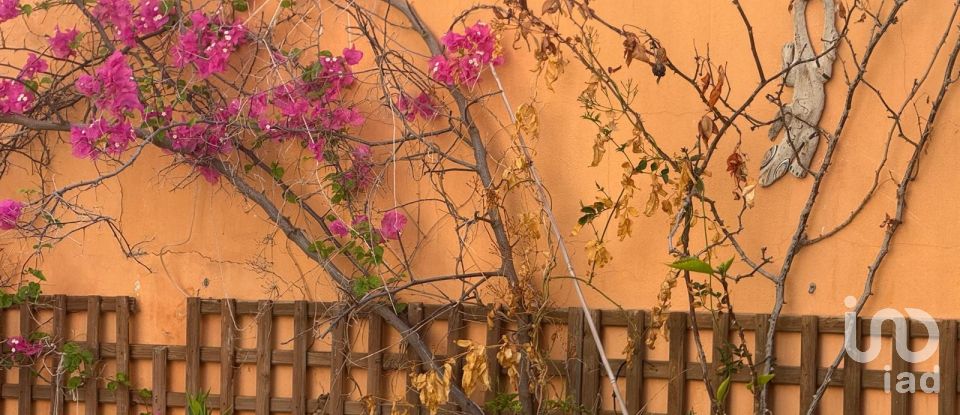 Pis 5 habitacions de 200 m² a Palma de Mallorca (07003)