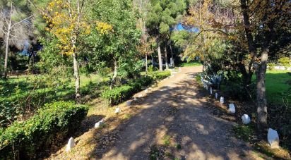 House 3 bedrooms of 150 m² in Constantina (41450)