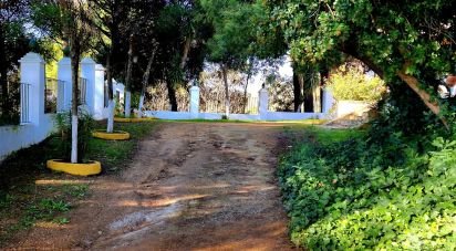 House 3 bedrooms of 150 m² in Constantina (41450)