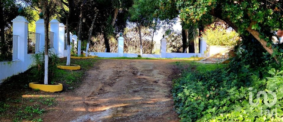 House 3 bedrooms of 150 m² in Constantina (41450)