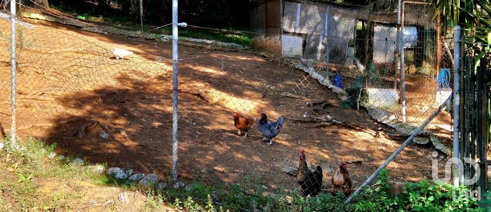 House 3 bedrooms of 150 m² in Constantina (41450)