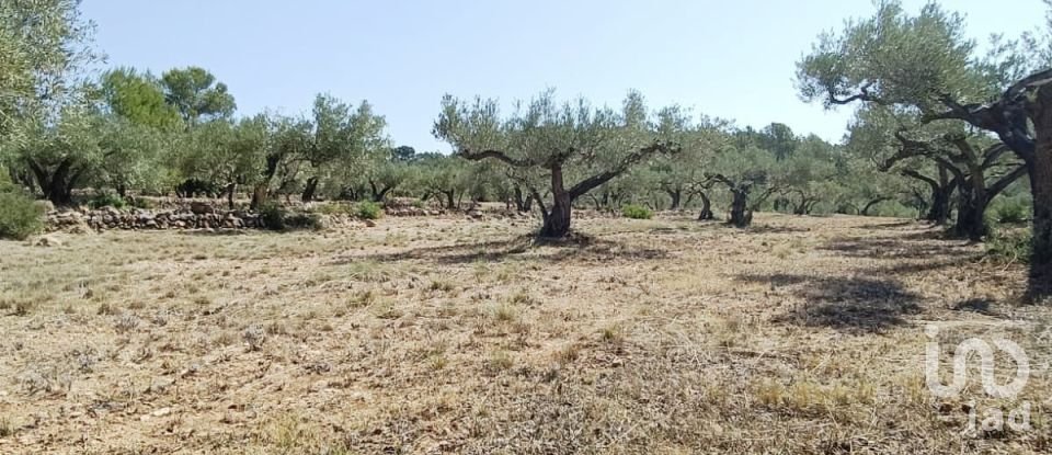 Casa 4 habitaciones de 112 m² en L'Ametlla de Mar (43860)