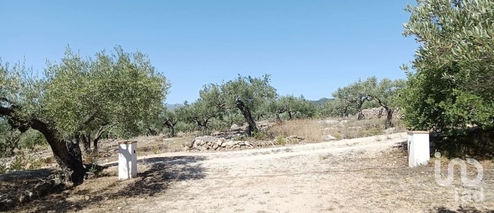 Casa 4 habitaciones de 112 m² en L'Ametlla de Mar (43860)